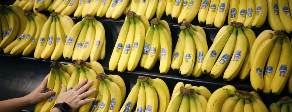 Chiquita Brands International, Inc., American Corporation, Fruit & Produce  Supplier